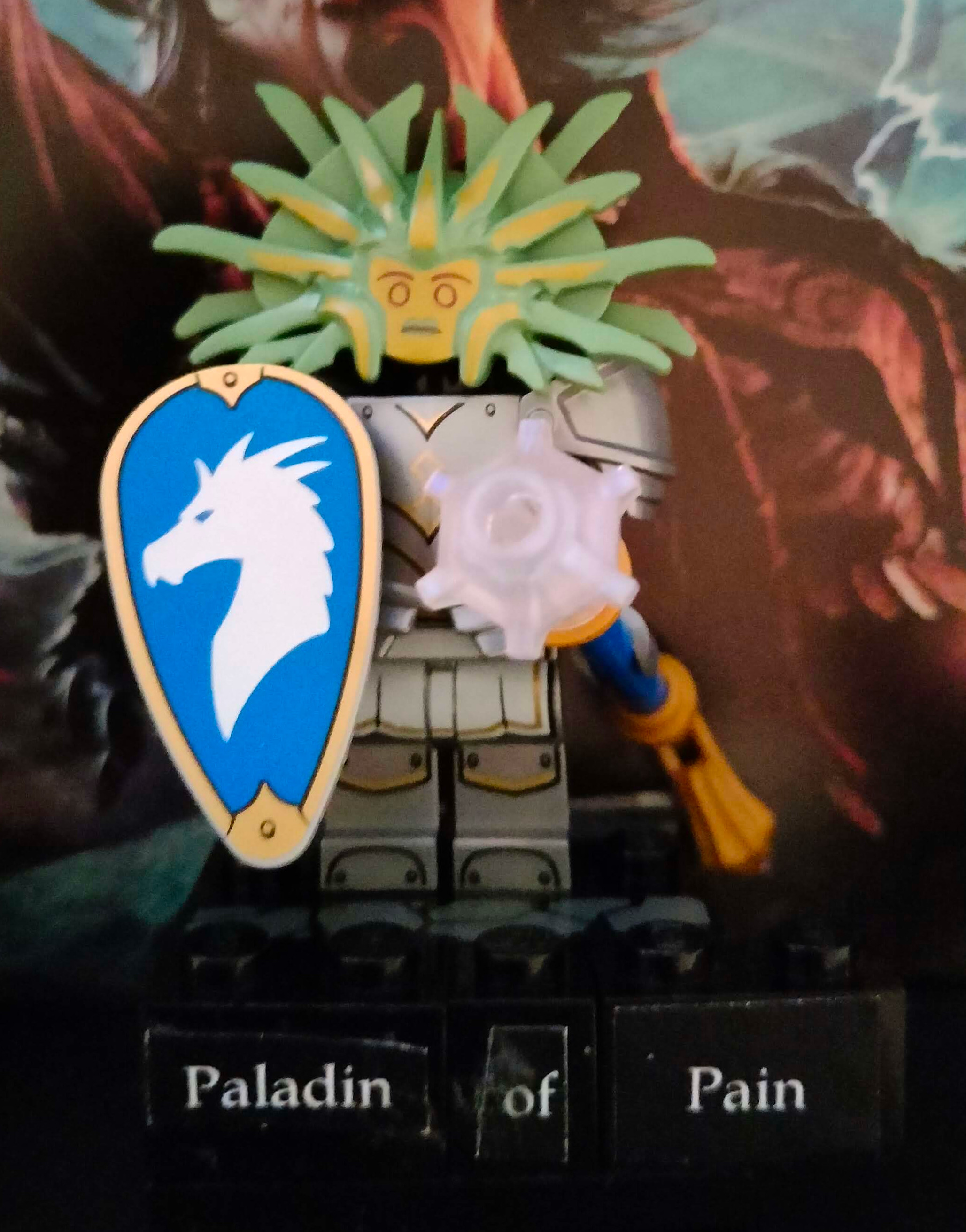 The Lady of Pain head on top of the Paladin body, with the nameplate saying 'Paladin of Pain'